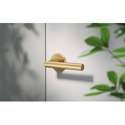 Manere usi NOVA auriu PVD cu rozeta wc