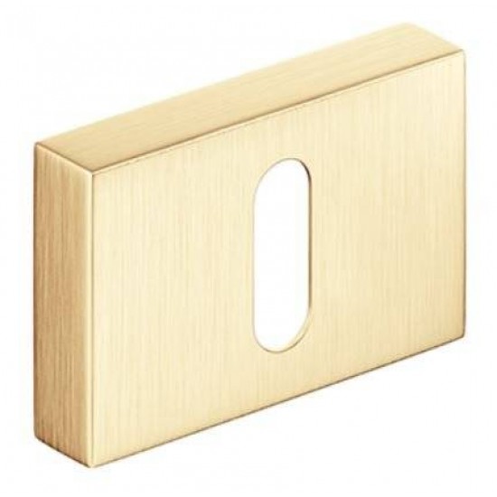 Set rozete auriu satin rectangulare cheie