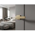 Manere usi ASTI auriu satin cu rozeta wc