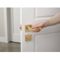 Manere usi ASTI auriu satin cu rozeta wc