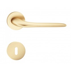 Manere usi Moon auriu satin rozeta cheie