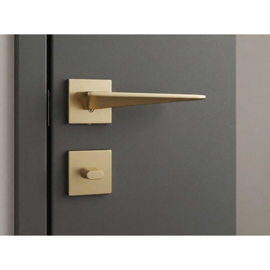 Manere usi ENZO auriu satin rozeta wc