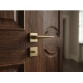 Manere usi ENZO auriu satin rozeta wc