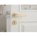 Manere usi VERONA auriu satin rozeta wc