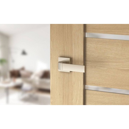 Manere usi FOCUS nichel velvet cu rozeta wc